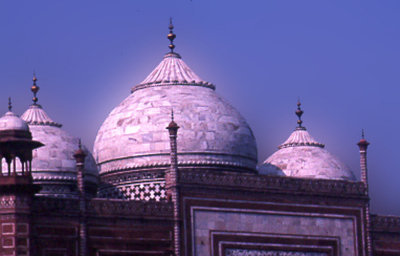 Taj mosque roof