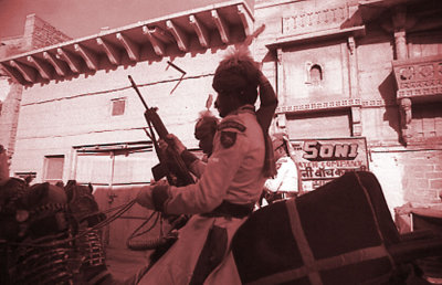 Camel Corps