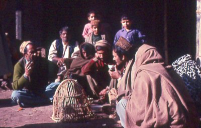 Peshawar-men, birdcage, and chai