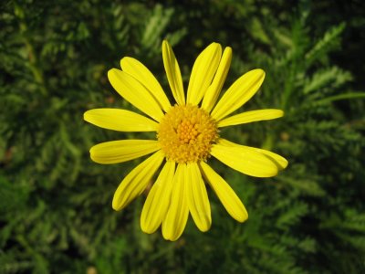 IMG_1236.JPG
