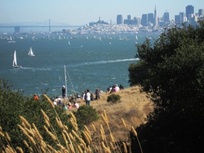 Sailboats in the Bay