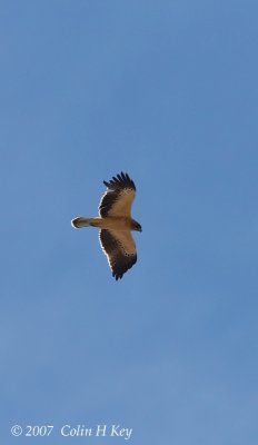 0C0J3019a.jpg