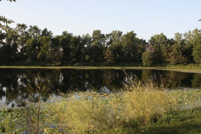 Lake Catherine 6