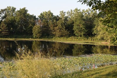 Lake Catherine 7