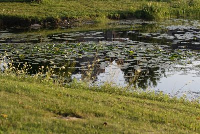 Lake Catherine 12