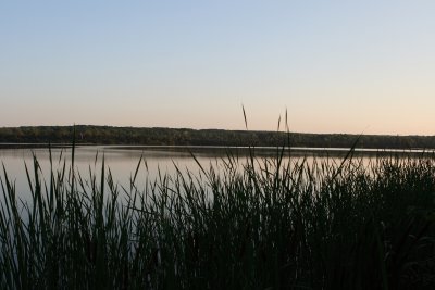 Saganaski Slough 2