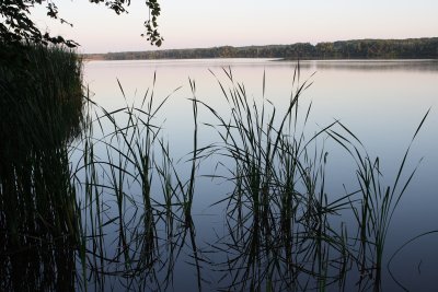 Saganaski Slough 3