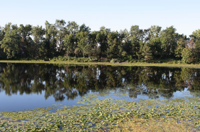 Lake Catherine 13