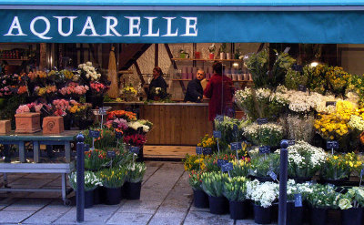 Paris Aaquarelle Florist