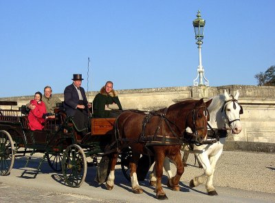 Chantilly