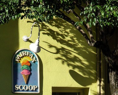 The Fairfax Scoop:  Organic Ice Cream