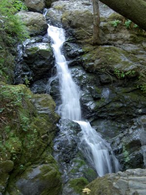 Cascade Creek waterfall, Fairfax, California