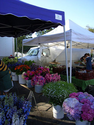 Marin County Farmer's Market