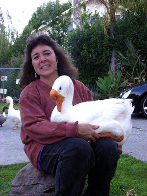 Joanne Perez, the Cascade Drive Goose Woman