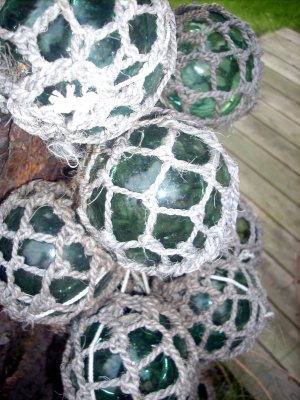 In Eli`s garden