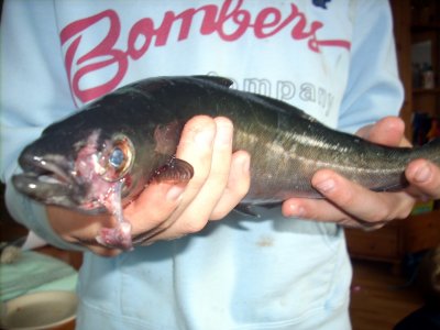 fishing