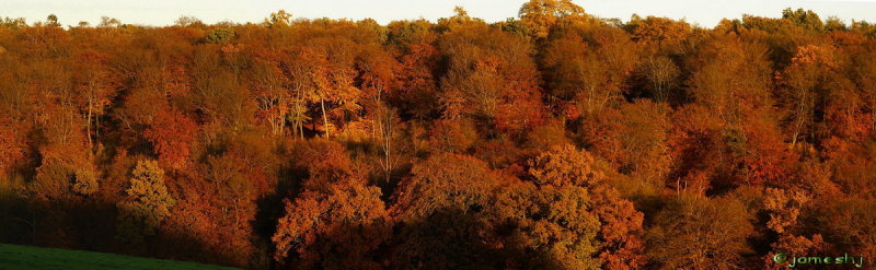 Last Day of Autumn