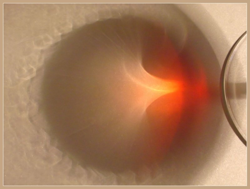 <B>Wine</b>