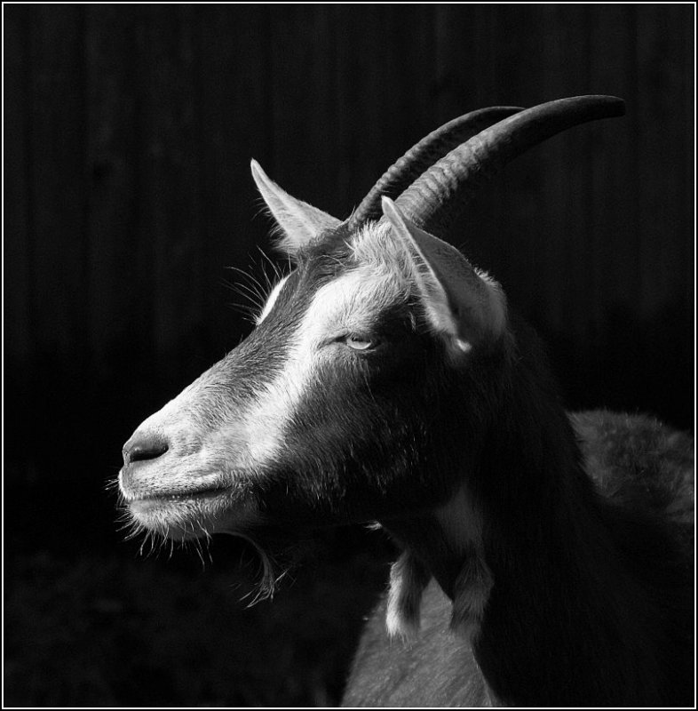 In the spotlight