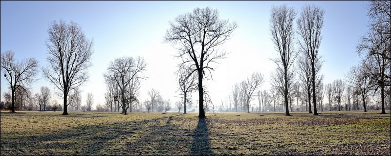 Winter Sun Light*<br>by Franky2005