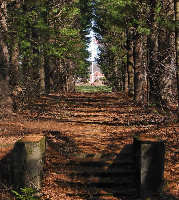 Door into the Woods* <br> by Hawkeye978