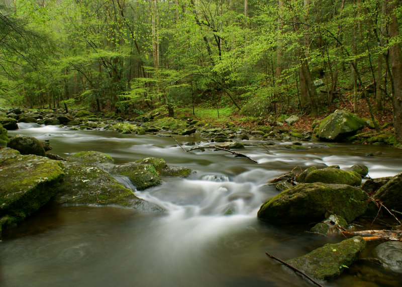 Classic Smoky Mountain Stream by Stephen Liebenauer