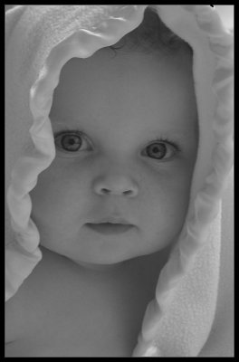3rd PlaceRose  by Cynthiana Kenison