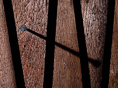 Wood and Nail  by MCsaba