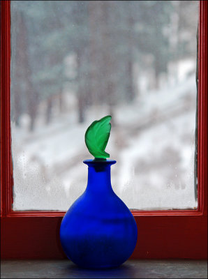 Winter Thru the Window*<br>by mlynn