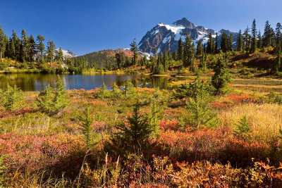 Fall View of Mt Shuksan *