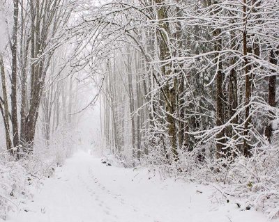 9th (tie)Winter Path *