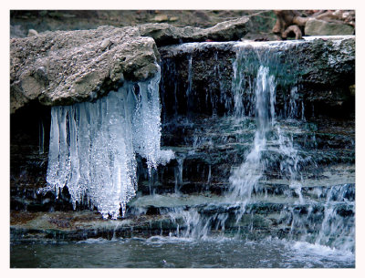 Color Version of Eligible Imageby MFC
