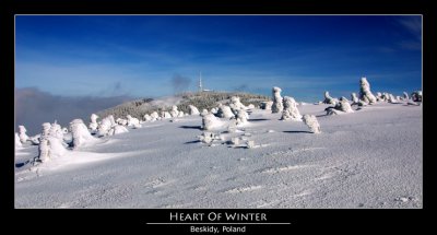 Heart Of Winter*