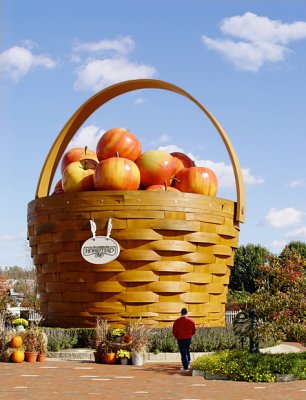 Apples in a Basket