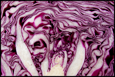 Cabbage Cross-Sectionby photocat37