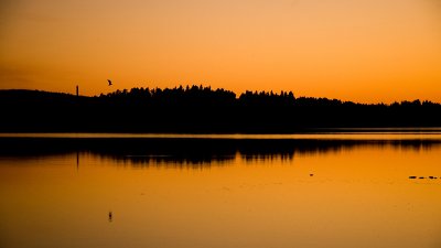 Midnight in Swedenby Wojtas