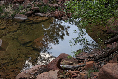 Zion Reflection*by Terry Straehley