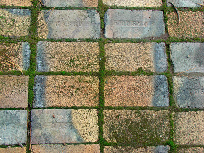 Pathway to the Cottage*
