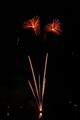 Light Flowers  by ofer4