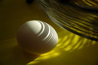The incredible edible Egg by Norbert