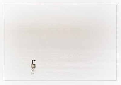 1st: swimming in the fog
