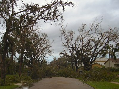 Hurricane Battered*