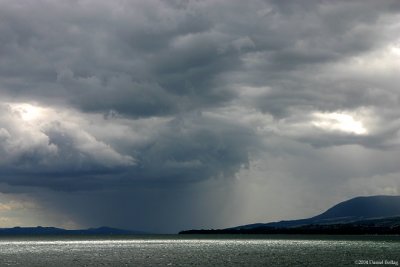 RainShower*