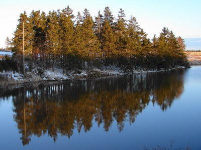 Reflections<br>by Neil MacDonald