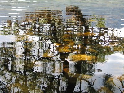 Ripples by Jo Beerens