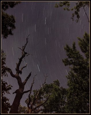 2nd Place star trails