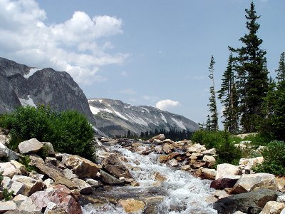 Medicine Bow Routt Nat Forest Wyoming