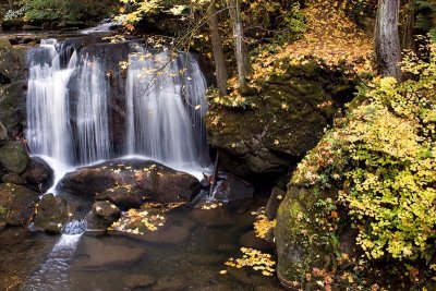 Whatcom Falls