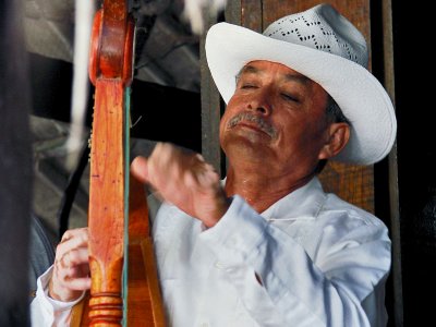 Ellegant Mexican Harp Playerby Marcelo Vieira