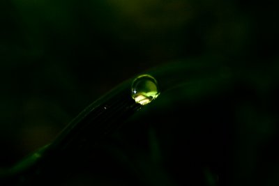 drop of lightby parallax